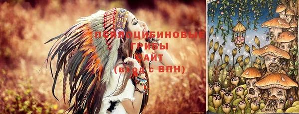 мет Грязовец