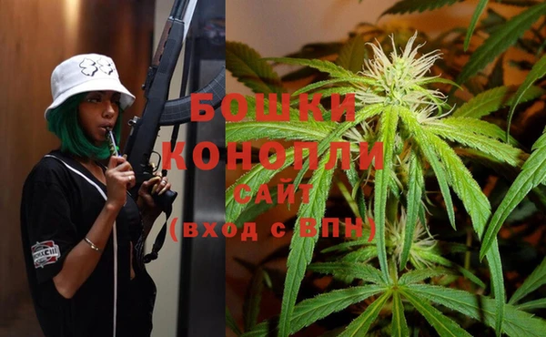 ГАЛЛЮЦИНОГЕННЫЕ ГРИБЫ Губаха