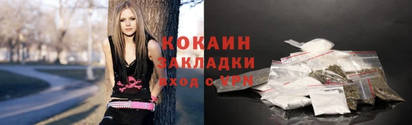 ГАЛЛЮЦИНОГЕННЫЕ ГРИБЫ Губаха