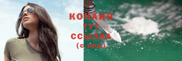 мет Грязовец