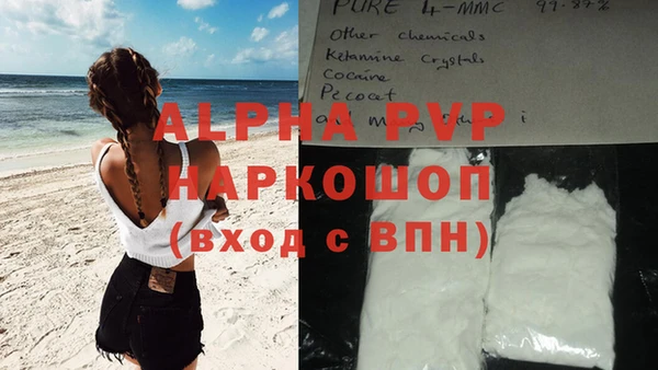 ГАЛЛЮЦИНОГЕННЫЕ ГРИБЫ Губаха
