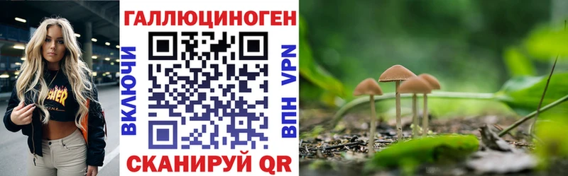 купить наркоту Карабаново Псилоцибиновые грибы Psilocybine cubensis